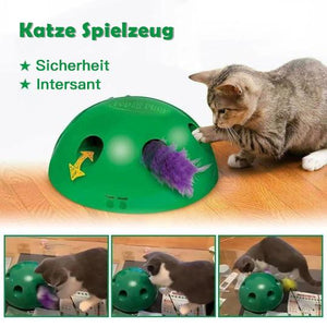 Katze Lieblingsspielzeug